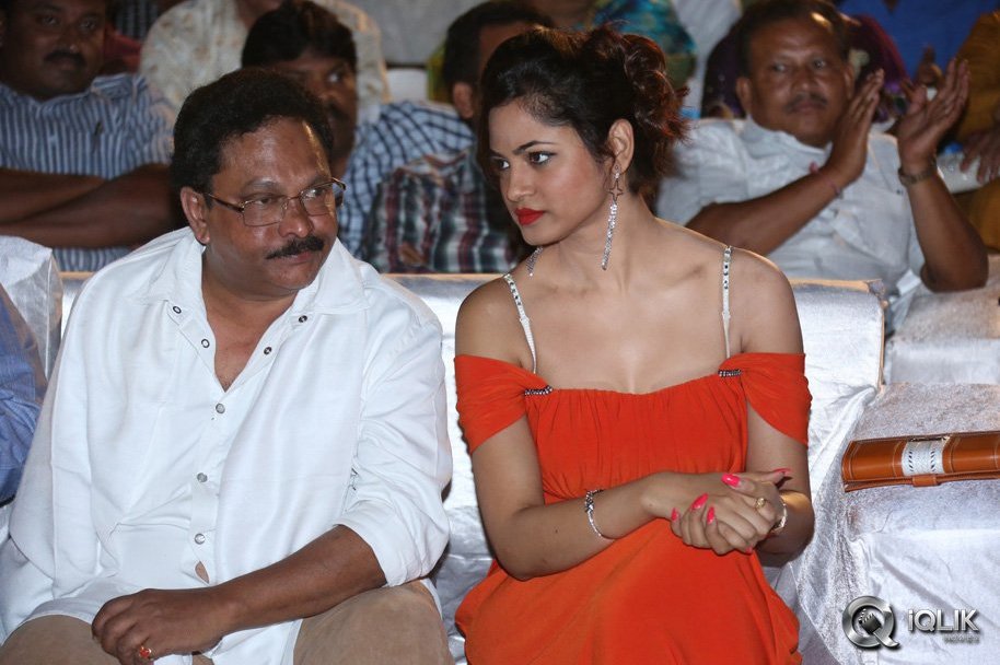 Green-Signal-Movie-Audio-Launch